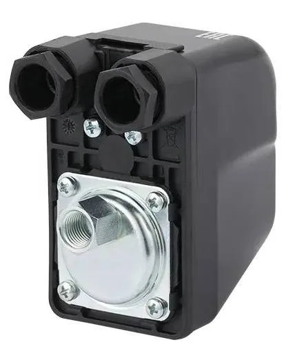 Реле давления с град. шкалой РМ/5G (м) 1/4" ITALTECNICA